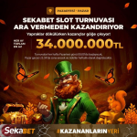 1756653459196.png