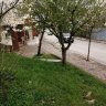 firatssahin